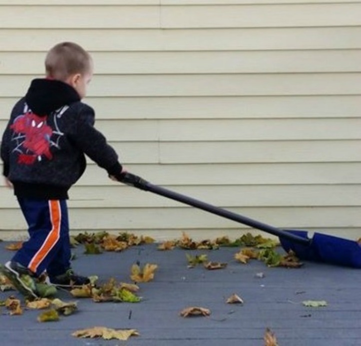 shoveling-leaves